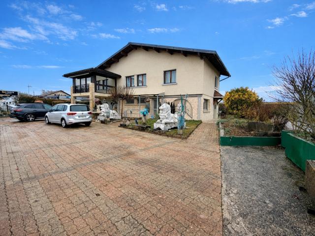 Cessy Vente Maison 01