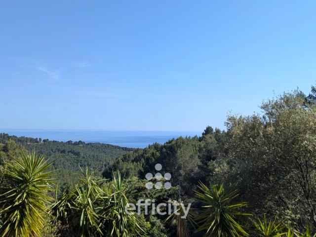 Ceyreste Vente Villa 13