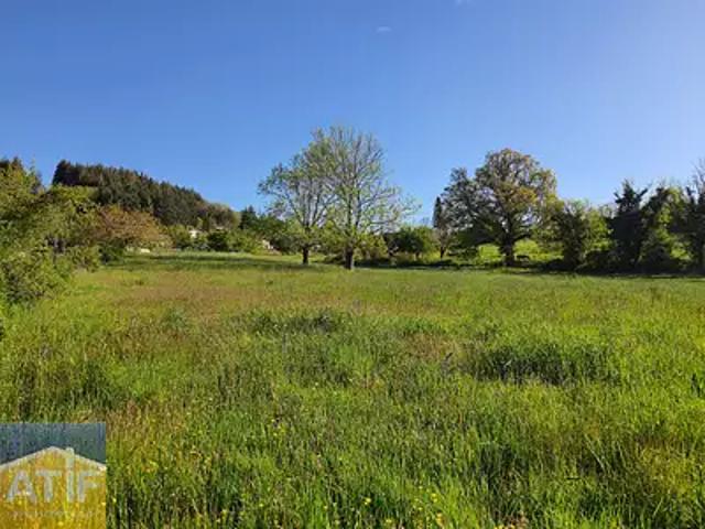 Cezay 42130 Achat / Vente terrain