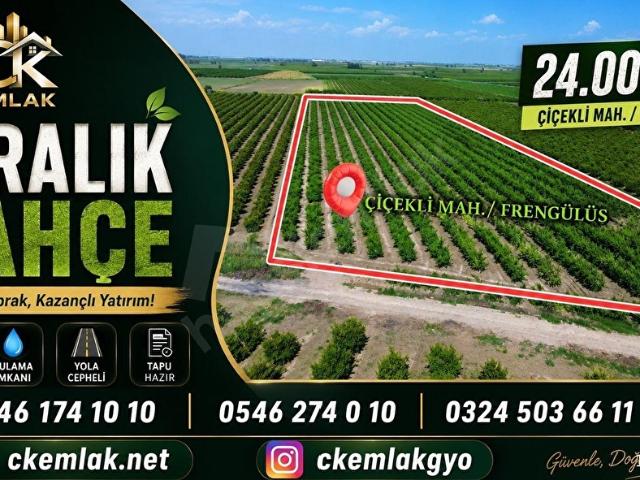 CK EMLAKTAN ÇİÇEKLİ FRENGLÜS MAH.DE KAÇIRILMAYACAK KİRALIK NARENCİYE BAHÇESİ