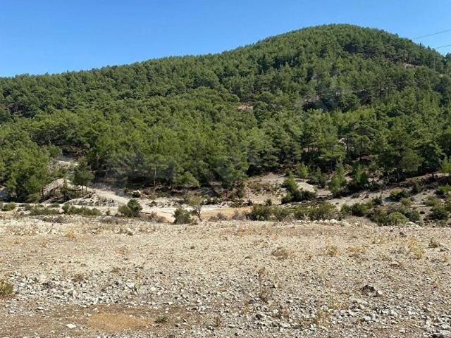 CKM'DEN KAŞ AKÖRÜ'DE KAÇMAZ YATIRIM FIRSATI !