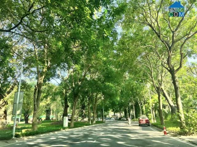 Chỉ 3.7 tỷ CH 3PN cao cấp Ecopark, quà tặng bếp 100tr CK lên tới 7%