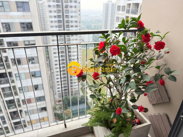 Chốt gấp căn 2n rẻ nhất phân khu s2.11 sổ đỏ trao tay