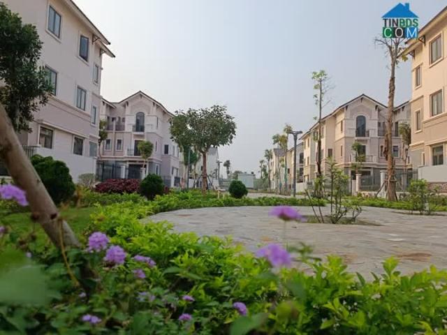 Chốt lời ngay khi bắt đáy thị trường Centa Vsip