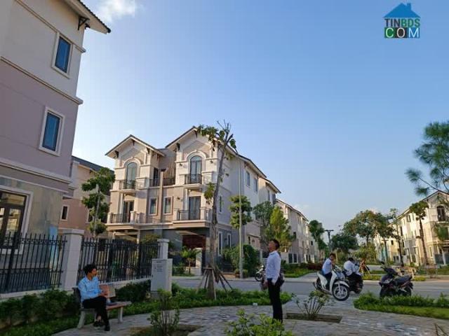 Chốt lời ngay 500tr khi bắt đáy thị trường Centa Vsip