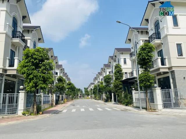 Chỉ từ 4,5 tỷ sở hữu ngay Biệt thự đẳng cấp, lợi nhuận tăng gấp đôi sau 2 năm