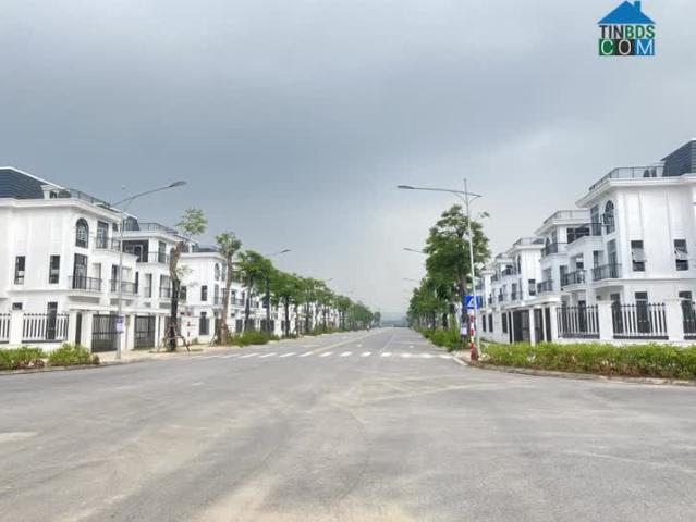 Chủ Đầu Tư Ra Quỹ Căn Ngoại Gia Biệt Thự 250M2 Dự Án Hud Mê Linh, Giá Gốc Không Chênh, Vào Tên Hđmb