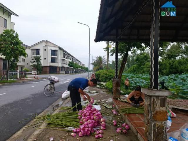 Chủ yếu tài chính cần bán gấp