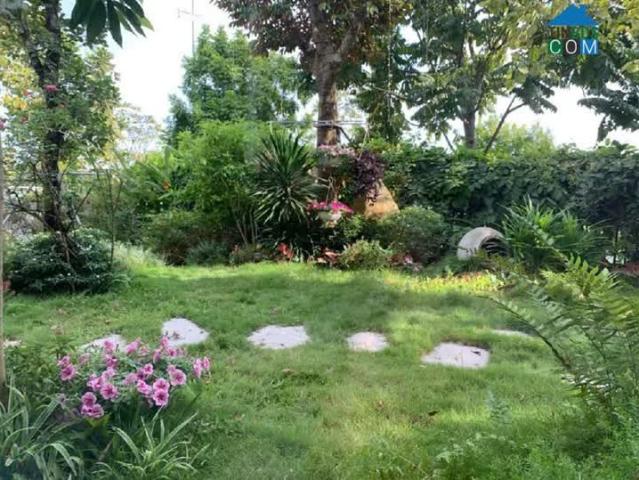 Chủ Bán Định Cư Nước Ngoài, Biệt Thự Song Lập Khai Sơn Hill 270m, Đẳng Cấp Khác Biệt