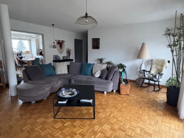 Ch. de Chanélaz 3*5A Marais 2*6, 2016 Cortaillod