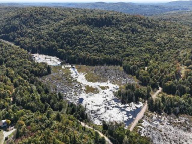 Ch. De La Héronnière, Grenville Sur La Rouge, QC, J0V 1B0 vacant land for sale | Listing ID 17787 | Royal LePage