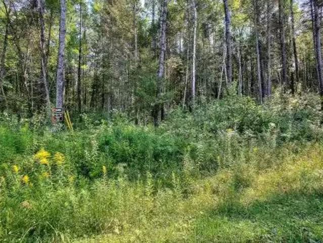 Ch. De La Nature, La Macaza, QC, J0T 1R0 vacant land for sal.