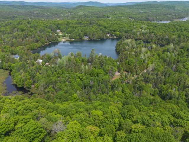 Ch. Des Érables, Harrington, QC, J8G 2T1 vacant land for sale | Listing ID 11552 | Royal LePage