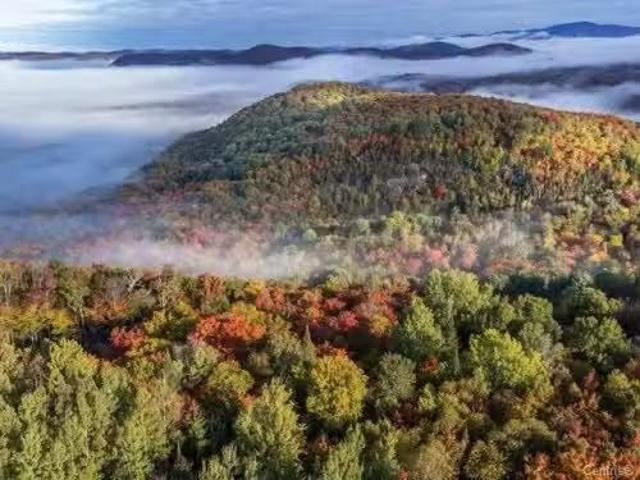 Ch. Des Hiboux, Mont Blanc, QC, J0T 2G0 vacant land for sale.