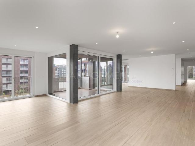 Ch. du Velours, 9 room apartment on the 3rd floor