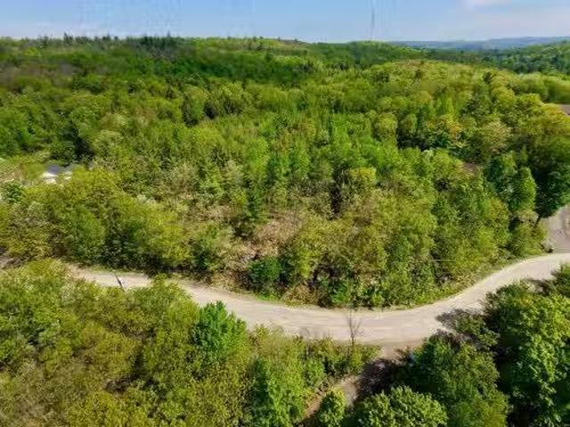 Ch. Du Belvédère, Grenville Sur La Rouge, QC, J0V 1B0 vacant.