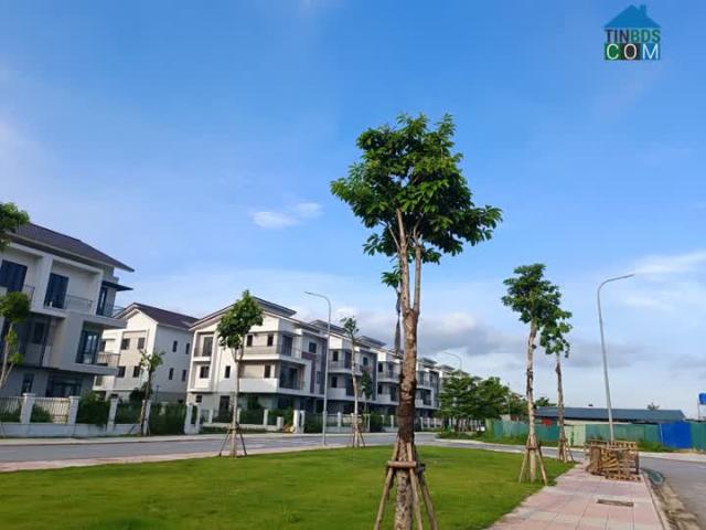 Chủ kẹt ngân hàng cần bán gấp biệt thự vườn 180m2 Centa Riverside Từ Sơn