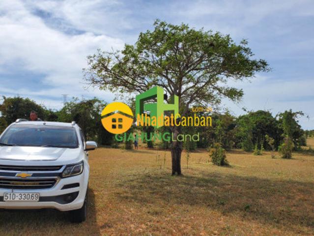 Chủ kẹt tiền cần bán gấp lô đất bình thuận 6929m2 giá 485 tr, đón đầu cao tốc, sân bay phan thiết
