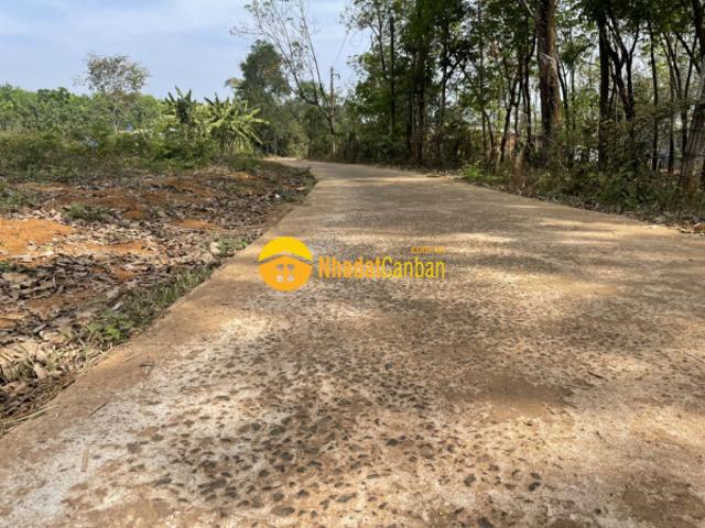 Chủ ngộp cần ra nhanh sào đất ở hớn quản bình phước