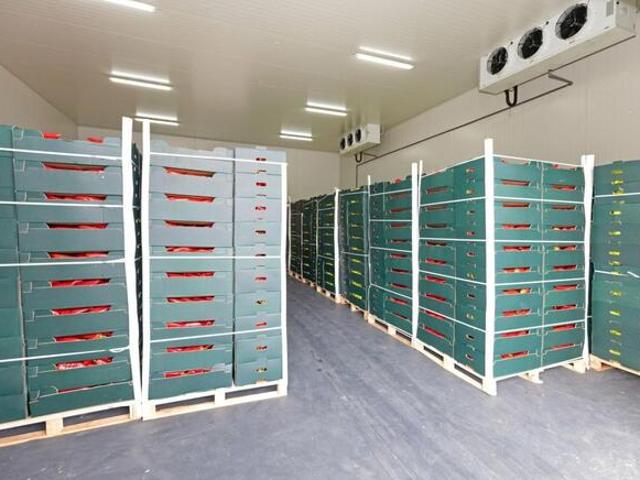 Chłodnia, magazyn 50 200 m² regały, wózek widłowy