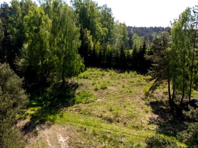 Chłopska 1 642 m², Dobrzewino