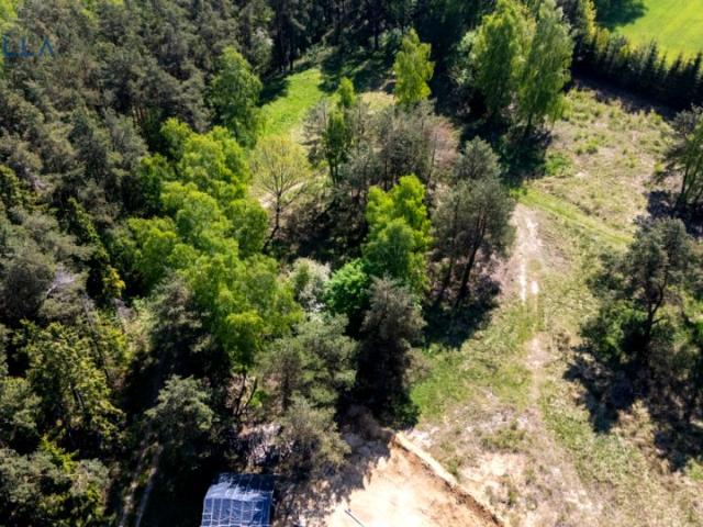 Chłopska 1 695 m², Dobrzewino