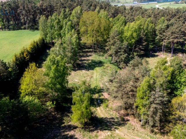 Chłopska 2 382 m², Dobrzewino