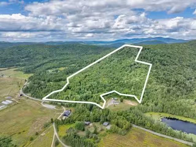Ch. Paquette, Mont Tremblant, QC, J8E 2B5 vacant land for sa.
