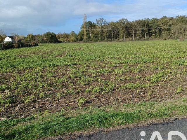Chouppes Vente Terrain 86