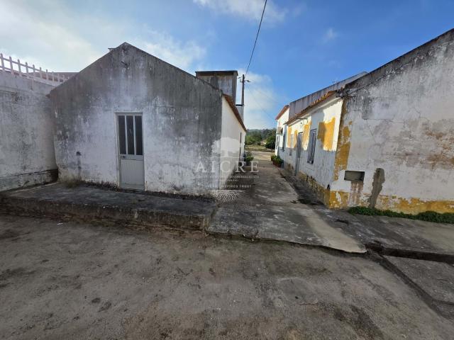 Chouto perto da Chamusca, Chamusca, Chouto