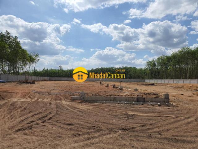 Cho thuê đất sxkd mặt tiền đường lớn gần ql 13, minh hưng, bp. Dt 1,5ha