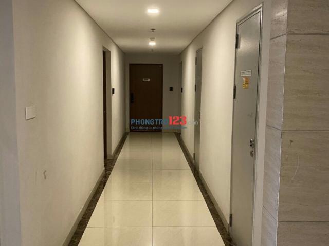 Cho thuê căn góc chung cư Đào Duy Từ quận 10 diện tích 100m2 giá 12tr