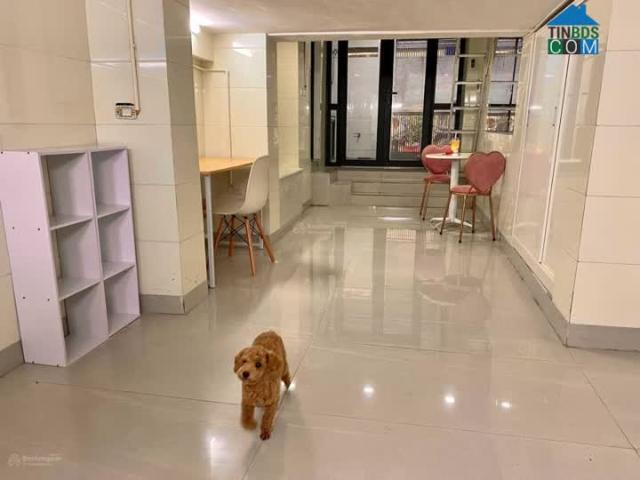 Cho Thuê Căn Hộ Tại Quỳnh Mai Hai Bà Trưng Hà Nội