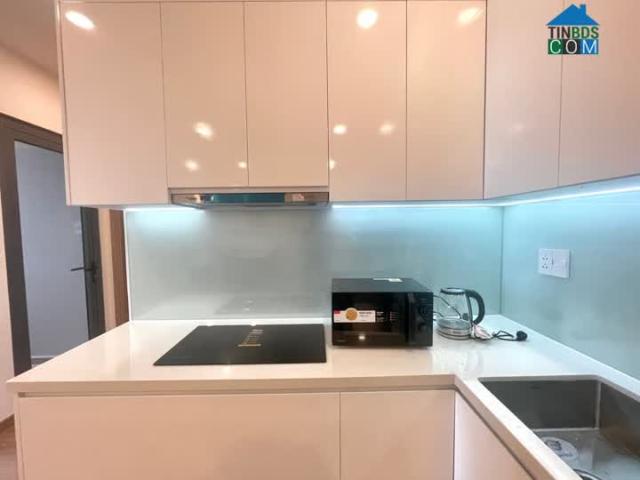 Cho thuê căn hộ Viva Plaza 2PN, 75m2 full nội thất mới đẹp tại Quận 7