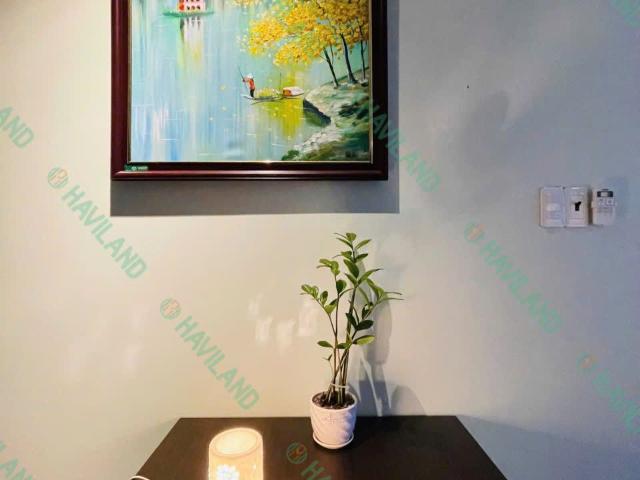 APARTMENT FOR RENT KHUE MY DONG 5