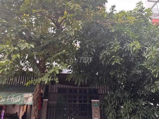 Cho Thuê Gấp Nhà Bình Hưng, Bình Chánh Nguyên Căn Khu Dân Cư Đại Phúc Phạm Hùng Nối Dài