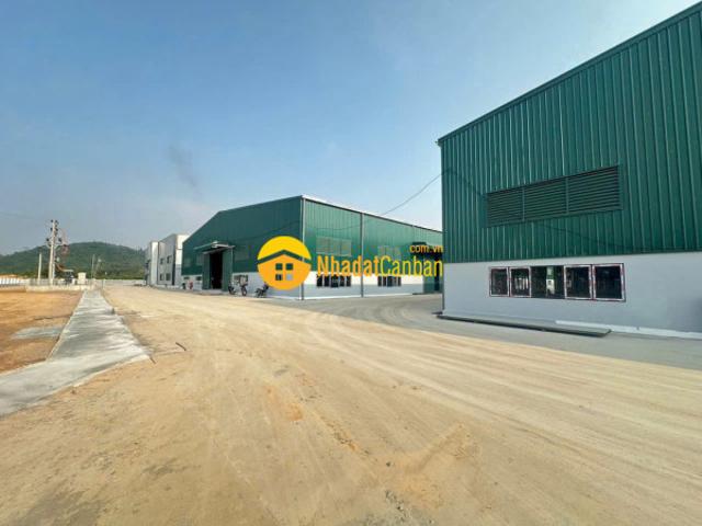Cho thuê hệ thống nhà xưởng mới 100 tại thanh ba, phú thọ
