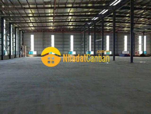 Cho thuê khoxưởng mới 10.000m² tại kcn quang minh pccc nghiệm thu