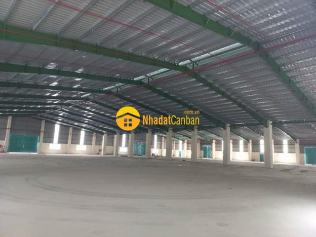 Cho thuê kho xưởng dt 747, bình mỹ, bắc tuyên, bd. Dt đất 11500m2, xưởng 5600m2