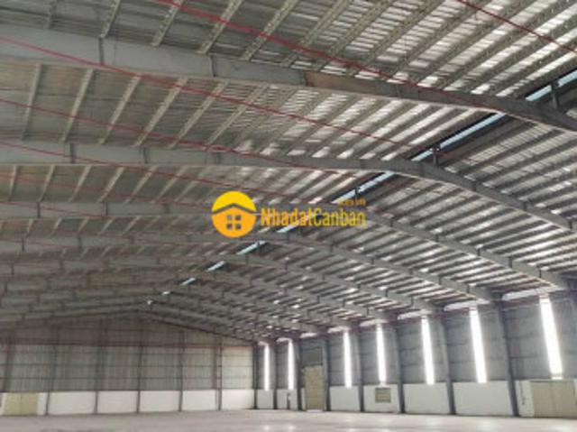 Cho thuê kho xưởng kcn sóng thần 3, bd. Kv 8000m2, xưởng 6200m2. Gía 4,2m2 tl