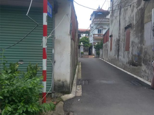 Cho thuê nhà khu B – Viện rau Trâu Quỳ