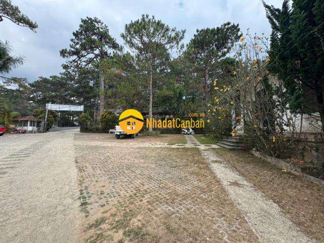 Cho thuê nhà mặt tiền đường trần hưng đạo, phường 10, đà lạt