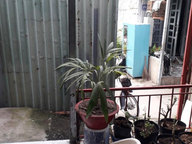 Cho thuê nhà nguyên căn TP Thủ Đức