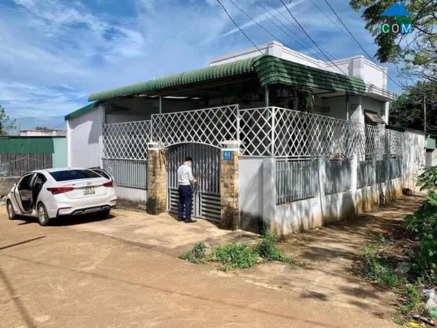 Cho thuê nhà nguyên căn có sân ô tô tại Phường Ea Tam, Thành phố Buôn Ma Thuột, Đắk Lắk
