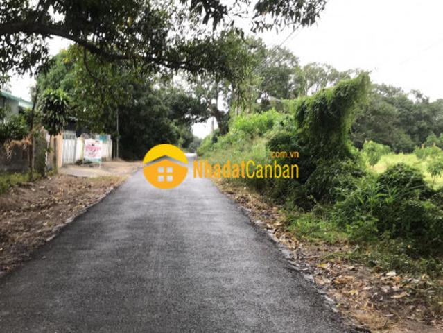 Cho thuê nhà nguyên căn gần chi cục thuế huyện cam lâm