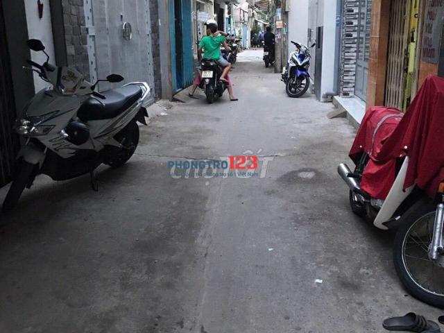 Cho thuê nhà nguyên căn hẻm 283 Bông Sao, P. 5, Q. 8