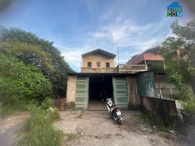 Cho Thuê Nhà Nguyên Căn Mặt Đường Quốc Lộ 6, Phường Đồng Mai, Quận Hà Đông, Hà Nội