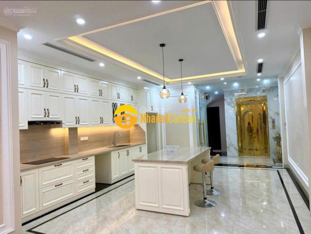 Cho thuê nhà phố nguyễn ngọc nại hà nội