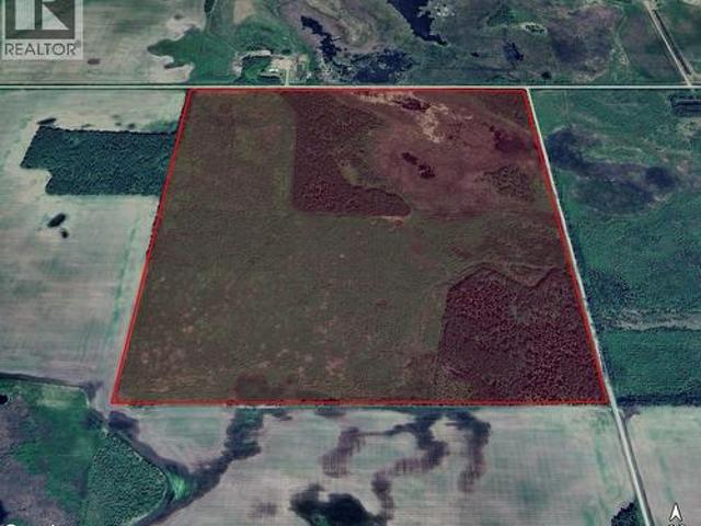 Choiceland Quarter Rm #488, Torch River Rm No. 488, SK, S0J 2M0 farm for sale | Listing ID SK025780 | Royal LePage