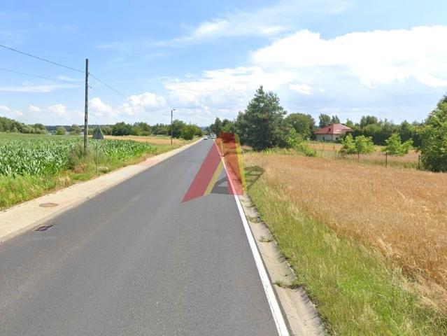 Cholerzyn 800 m², Cholerzyn